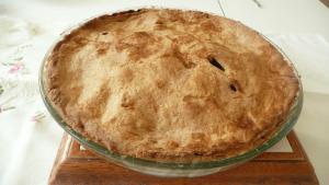 Tarte au pommes abricots et pain d'épices